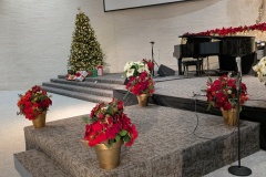 PXL_20251206_011105763