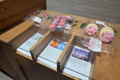 PXL_20260207_020652840