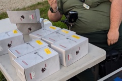 PXL_20250803_121933385